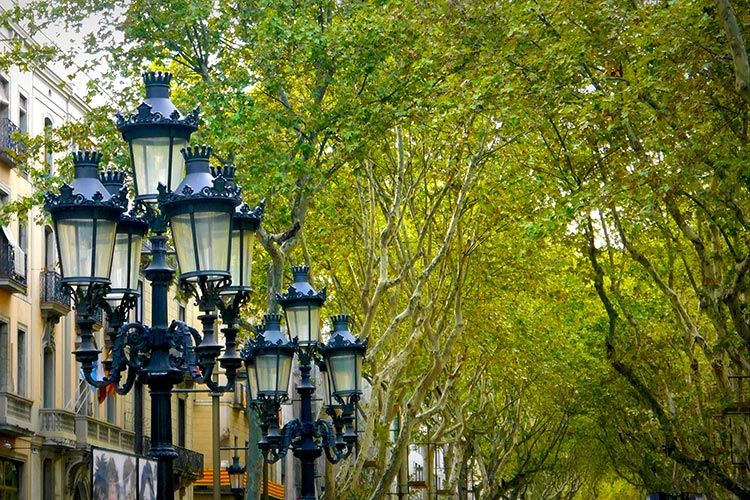 La Rambla in Barcelona